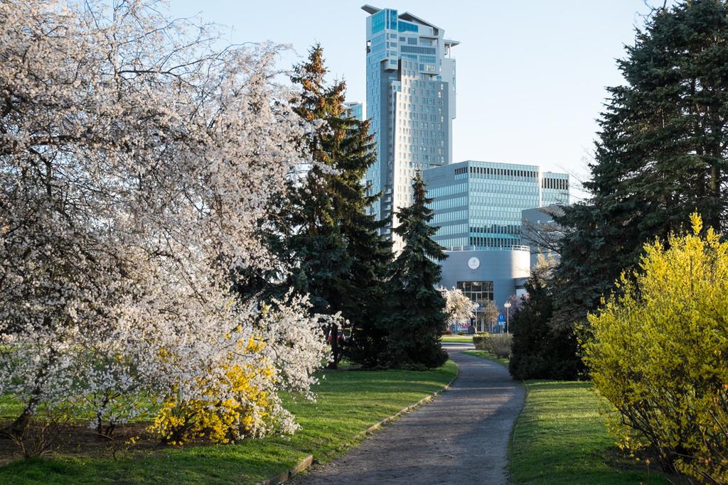 Studio Swietojanska Gdynia Phòng bức ảnh